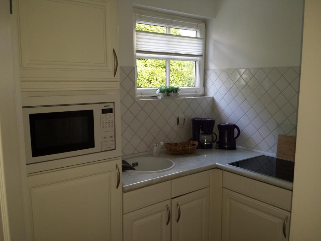 Apartment Villa Zur Altstadt 사스니츠 외부 사진