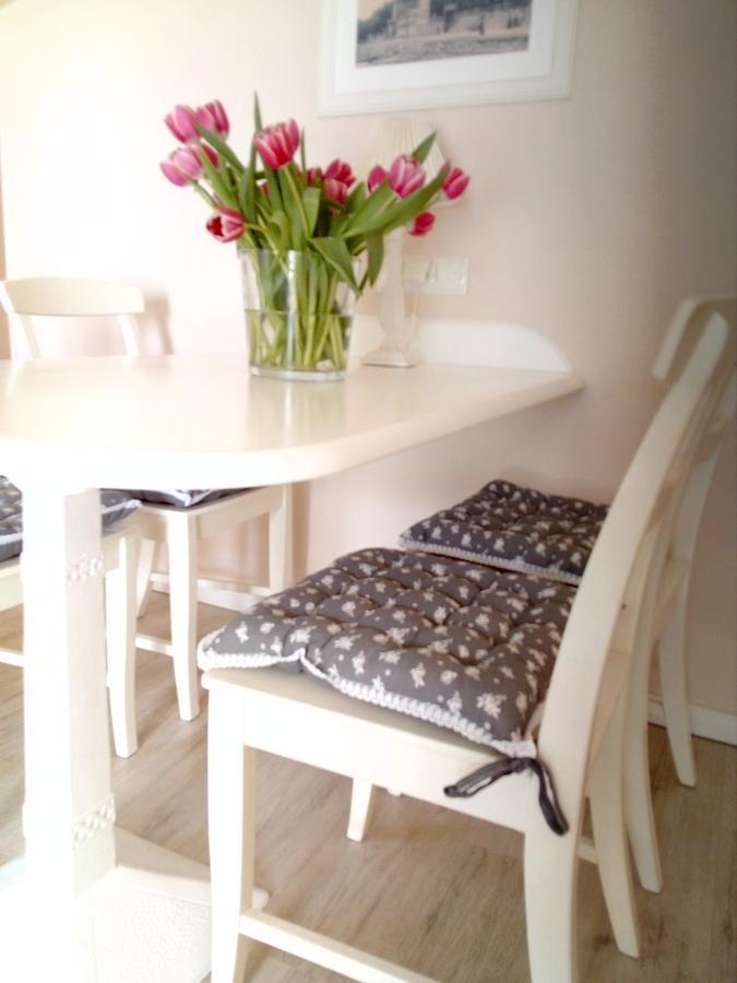Apartment Villa Zur Altstadt 사스니츠 외부 사진